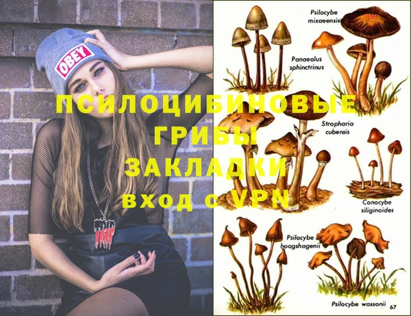 марки lsd Волосово