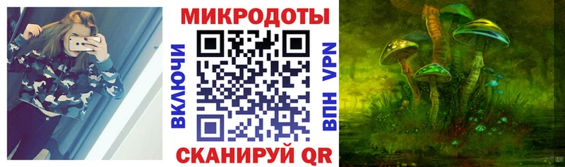 OMG сайт  Новомичуринск  Псилоцибиновые грибы Cubensis 